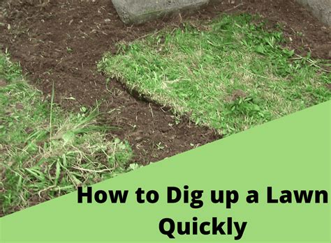 lawn digging cost estimator